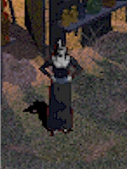 Adria02.jpg (47462 bytes)