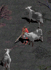 MojoCow1.bmp (308278 bytes)