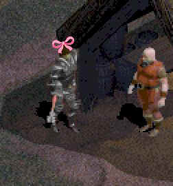 Reminder.jpg (24779 bytes)