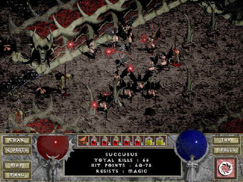 Succ13.jpg (112923 bytes)