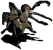 spider02.gif (2212 bytes)