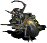 spider03.gif (2654 bytes)