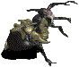 spider04.gif (2274 bytes)
