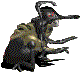 spider05.gif (2430 bytes)