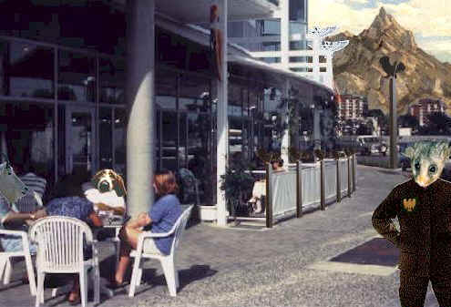 Into the Mirrorverse