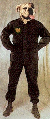 You Are My Destiny, Lad